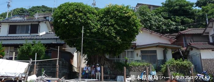 熊本県湯島